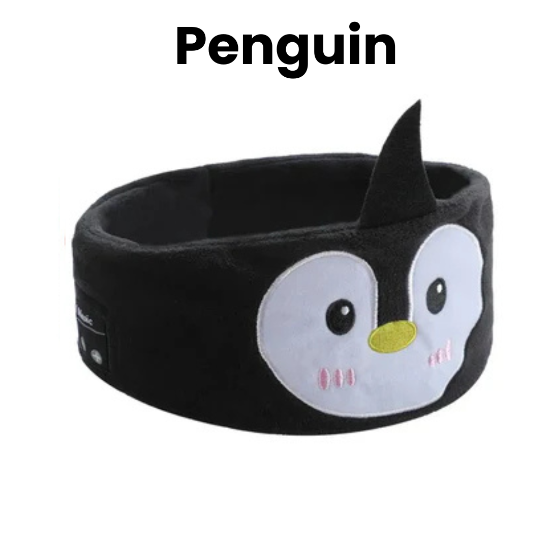 Diambk Cozy & Wireless Headband Headphones